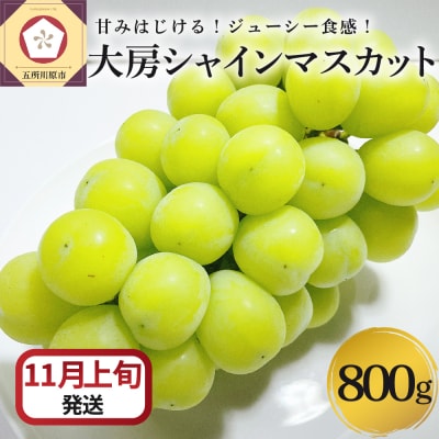 y2025N11{z VC}XJbg [ 800g XY
