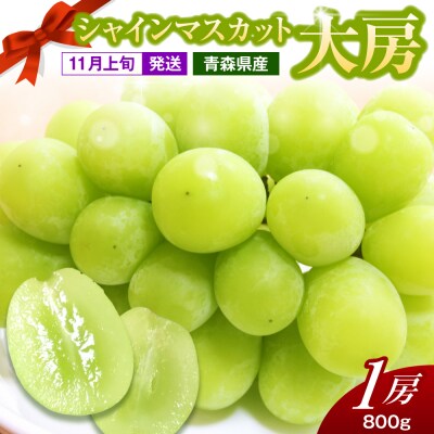 【2026年11月上旬発送】 シャインマスカット 大房 800g 青森産