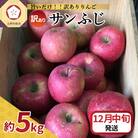 【2025年12月中旬発送】【訳あり】りんごサンふじ5kg青森