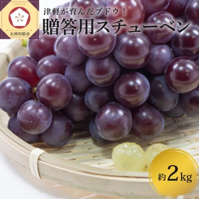 【2025年11月中旬発送】青森 ぶどう 贈答用 スチューベン 約2kg 化粧箱入