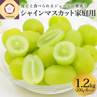 【2026年12月上旬発送】青森産シャインマスカット「家庭用カップ入り」約1.2kg(200g×6)