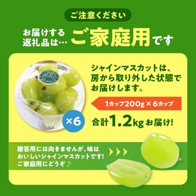 【2026年12月上旬発送】青森産シャインマスカット「家庭用カップ入り」約1.2kg(200g×6)