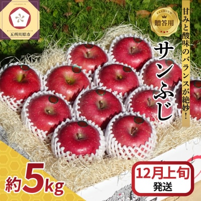 【2025年12月上旬発送】【贈答用】りんごサンふじ5kg青森