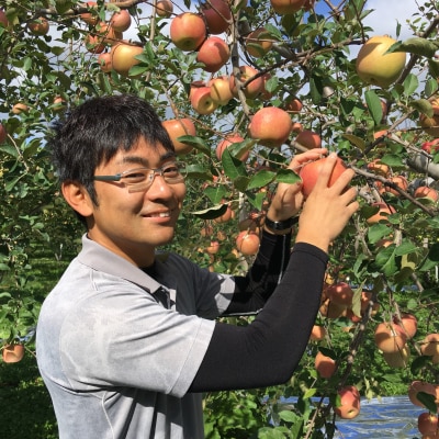 【2025年12月上旬発送】【贈答用】りんごサンふじ5kg青森