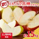 【2025年11月中旬発送】 【訳あり】旬の美味しいりんご 約15kg 青森産 【おまかせ2品種】