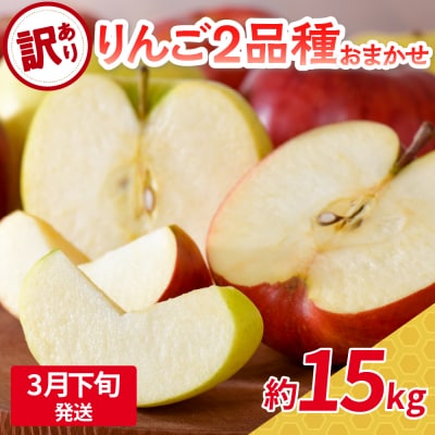 【2026年3月下旬発送】 【訳あり】旬の美味しいりんご 約15kg 青森産 【おまかせ2品種】
