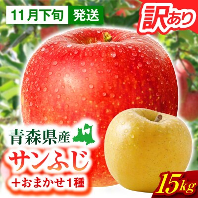 【2026年11月下旬発送】【訳あり】 りんご 15kg 詰め合わせ 計2種(サンふじ と 他1種)