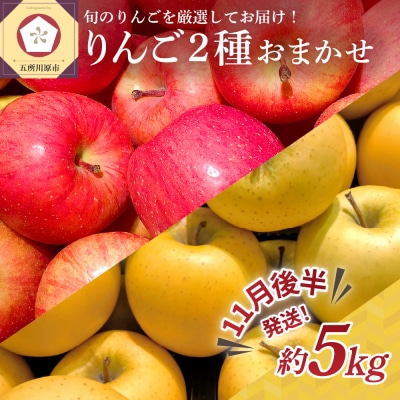 【2026年11月後半発送】 りんご 青森産 約5kg 品種おまかせ2種以上 贈答用 特選～特秀