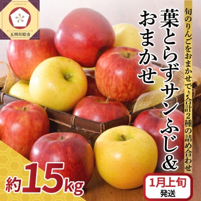 【2026年1月上旬発送】 りんご 15kg 詰め合わせ 計2種(葉とらず サンふじ と 他1種)