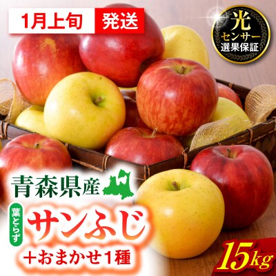 【2027年1月上旬発送】 りんご 15kg 詰め合わせ 計2種(葉とらず サンふじ と 他1種)