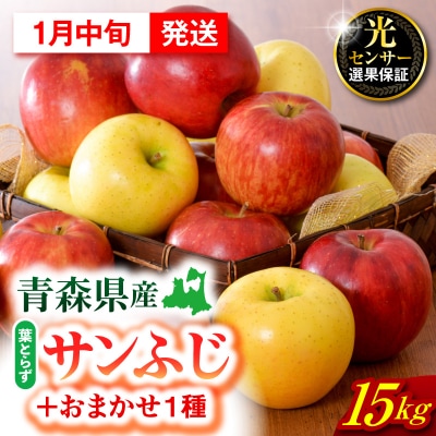 【2027年1月中旬発送】 りんご 15kg 詰め合わせ 計2種(葉とらず サンふじ と 他1種)