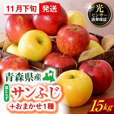 【2026年11月下旬発送】 りんご 15kg 詰め合わせ 計2種(葉とらず サンふじ と 他1種)