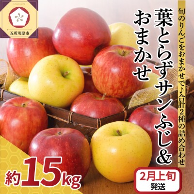 【2026年2月上旬発送】 りんご 15kg 詰め合わせ 計2種(葉とらず サンふじ と 他1種)