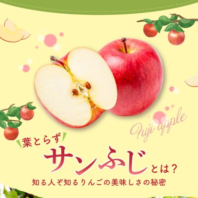 【2027年2月中旬発送】 りんご 15kg 詰め合わせ 計2種(葉とらず サンふじ と 他1種)