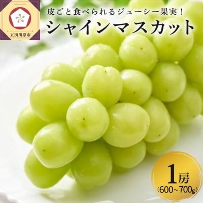 【2025年11月上旬発送】青森産シャインマスカット1房(3～4L・600～700g程度)大粒