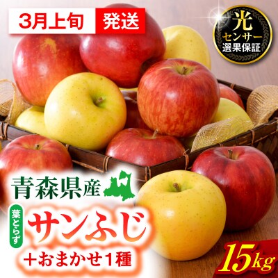 【2027年3月上旬発送】 りんご 15kg 詰め合わせ 計2種(葉とらず サンふじ と 他1種)