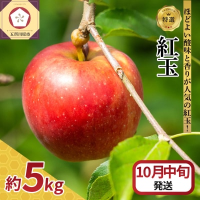 【2026年10月中旬発送】 【特選】りんご 5kg 紅玉 青森