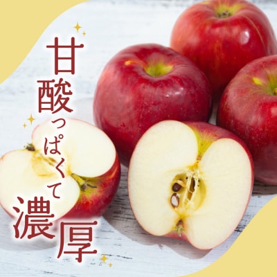【2026年10月中旬発送】 【特選】りんご 5kg 紅玉 青森