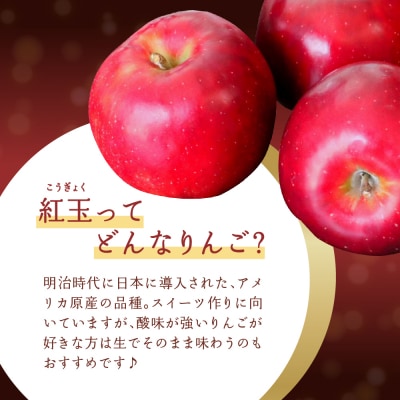 【2026年10月中旬発送】 【特選】りんご 5kg 紅玉 青森