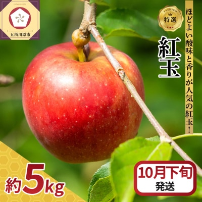 【2026年10月下旬発送】 【特選】りんご 5kg 紅玉 青森