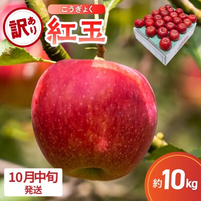 【2026年10月中旬発送】【訳あり】 りんご 10kg 紅玉 アップルパイ に最適 青森 不揃い