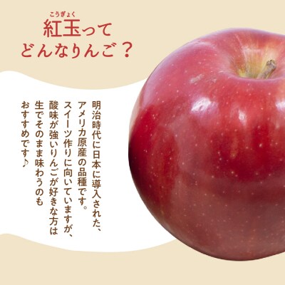 【2026年10月中旬発送】【訳あり】 りんご 10kg 紅玉 アップルパイ に最適 青森 不揃い