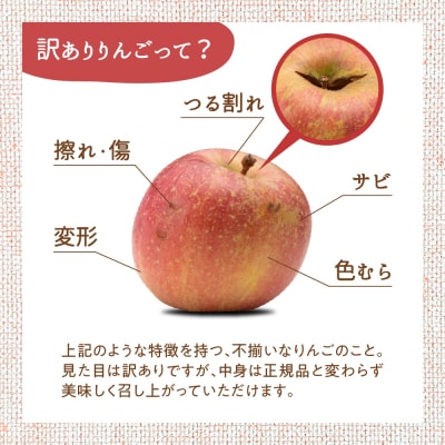 【2026年10月下旬発送】【訳あり】 りんご 10kg 紅玉 アップルパイ に最適 青森 不揃い