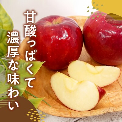 【2026年11月上旬発送】【訳あり】 りんご 10kg 紅玉 アップルパイ に最適 青森 不揃い