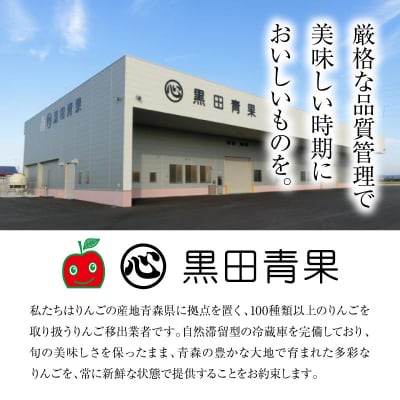 【2026年11月後半発送】 【訳あり】 りんご 青森産 約5kg 品種おまかせ1種