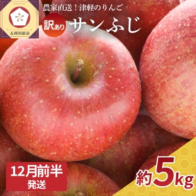 【2025年12月前半発送】【訳あり】 りんご 約5kg サンふじ 青森産