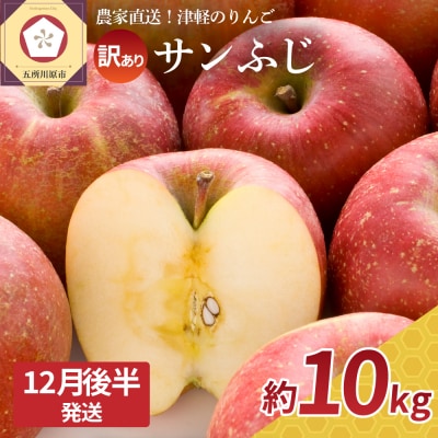 【2025年12月後半発送】【訳あり】 りんご 約10kg サンふじ 青森産
