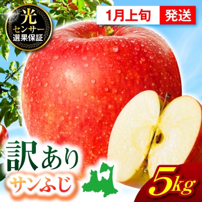 【2027年1月上旬発送】【訳あり】 りんご 約5kg サンふじ 青森 家庭用 不揃い