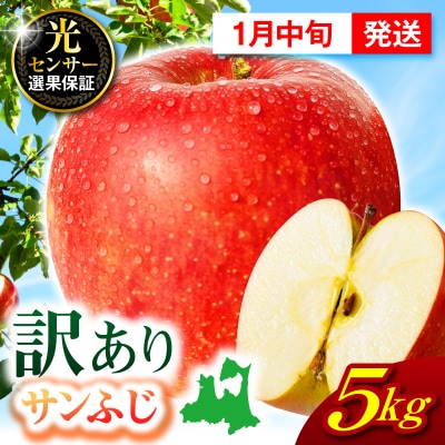 【2027年1月中旬発送】【訳あり】 りんご 約5kg サンふじ 青森 家庭用 不揃い