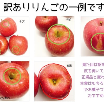 【2025年10月発送】 【訳あり】 りんご 早生 ふじ 約 10kg 青森 産