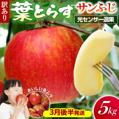 【2027年3月後半発送】【訳あり】青森県産 葉とらず サンふじ りんご 約5kg