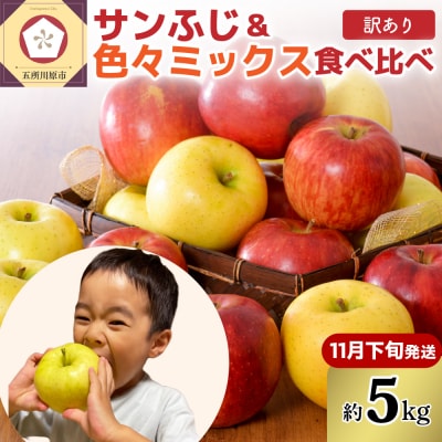 【2026年11月下旬発送】【訳あり】りんご5kg青森産家庭用完熟サンふじ&色々ミックス