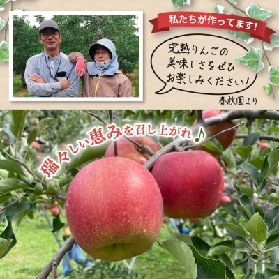 【2026年11月下旬発送】【訳あり】りんご5kg青森産家庭用完熟サンふじ&色々ミックス
