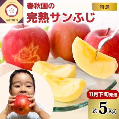 【2026年11月下旬発送】りんご5kg青森産春秋園の最高級「特選」大玉完熟サンふじ