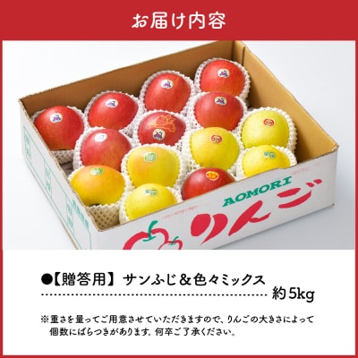 【2026年11月下旬発送】りんご 青森産 約5kg 津軽から完熟サンふじ&色々ミックス 贈答用