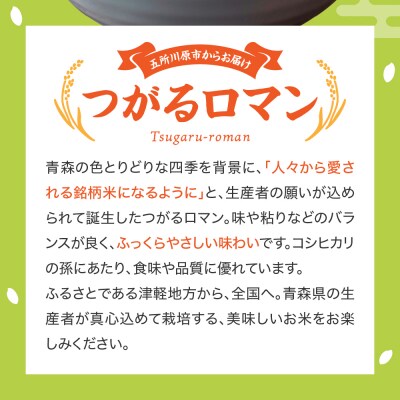 【令和7年 新米 先行受付】 米 つがるロマン 10kg (5kg×2) 特別栽培米 青森県産