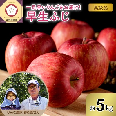 りんご【2026年10月上旬発送】高級品 早生ふじ 5kg