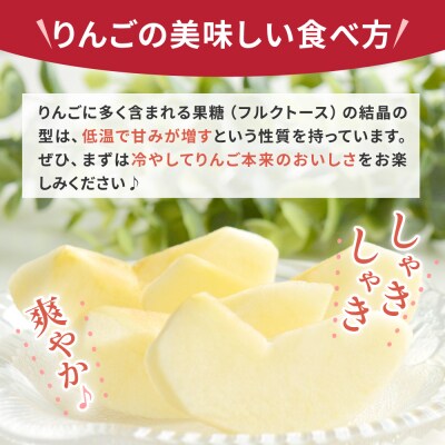 りんご【2026年10月上旬発送】高級品 早生ふじ 5kg