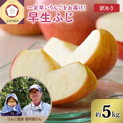 りんご【2026年10月上旬発送】訳あり 早生ふじ 5kg