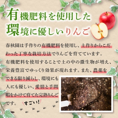 りんご【2026年10月上旬発送】訳あり 早生ふじ 5kg
