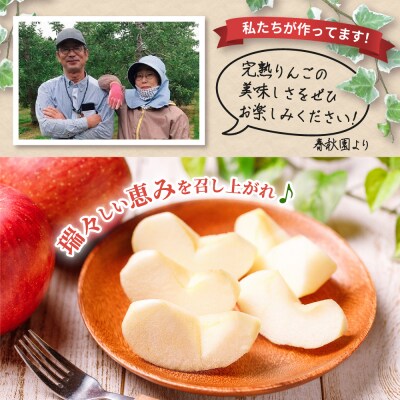 りんご【2026年10月上旬発送】訳あり 早生ふじ 5kg