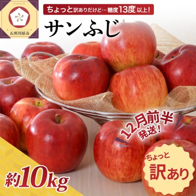 【2025年12月前半発送】 【ちょっと訳あり】 りんご 約10kg サンふじ 青森産