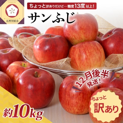 【2025年12月後半発送】【ちょっと訳あり】 りんご 約10kg サンふじ 青森県産