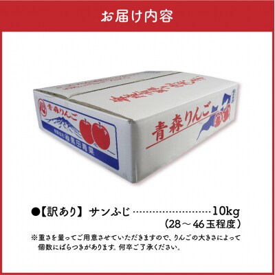 【2026年12月後半発送】【ちょっと訳あり】 りんご 約10kg サンふじ 青森産