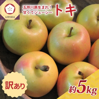 【10月後半以降順次発送】 りんご 約5kg 訳あり トキ 青森県産