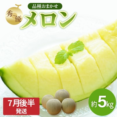 【2026年先行受付】【2026年7月後半発送】青肉 メロン 約 5kg 秀～優 ( 3～6玉 )